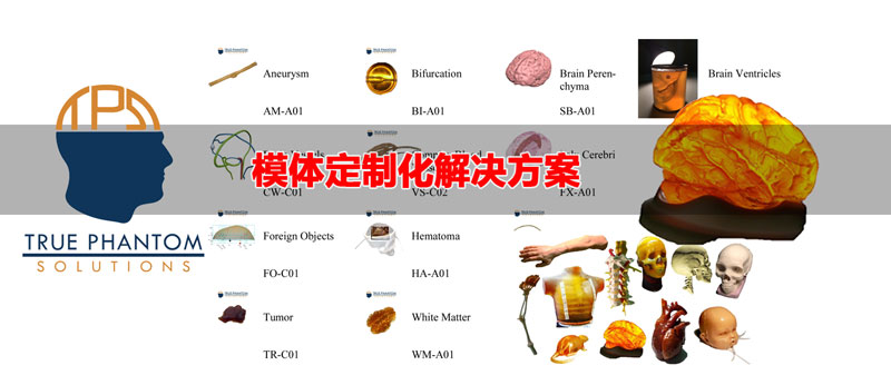 True phantom可以根據(jù)買方的研究或教育需求量身定制，以模仿健康的人體骨骼和不健康的人體骨骼