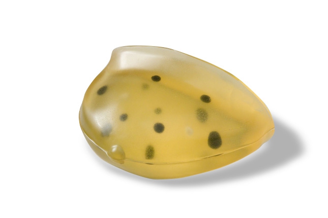 CIRS 013乳腺模體，CIRS 013模體