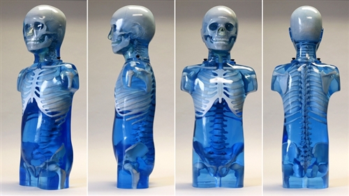 CIRS 715兒童彷真模體，CIRS 715兒童訓(xùn)練模體