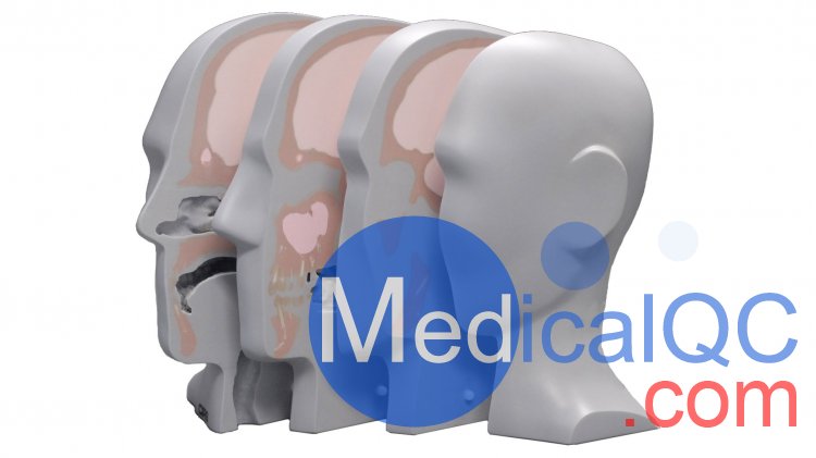 CIRS 731-HN頭部劑量模體，CIRS 731-HN頭部模體