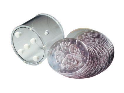 Hoffman 3-D腦模體，霍夫曼腦模體