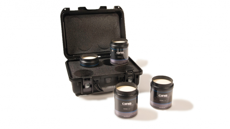  CIRS 039肝纖維化模體，CIRS 039模體