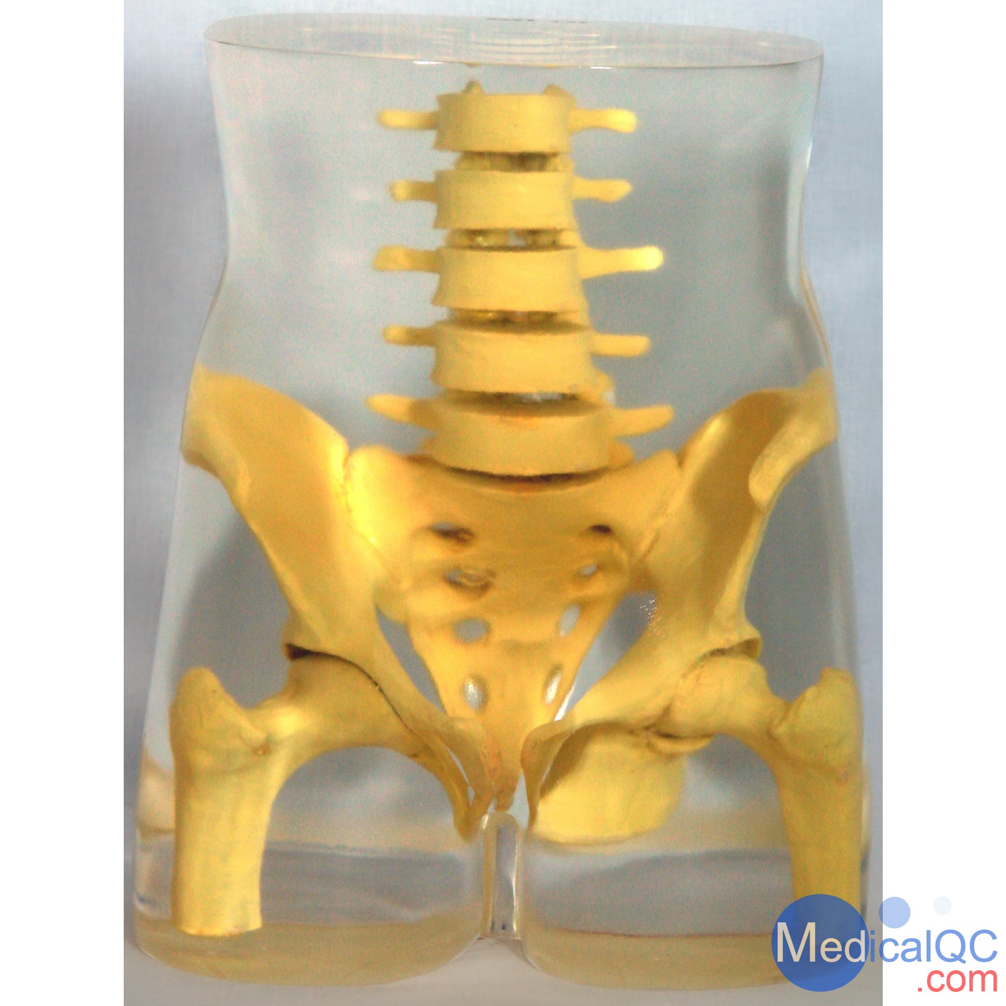 RSD RS-113骨盤模體，RS-113T脊椎模體