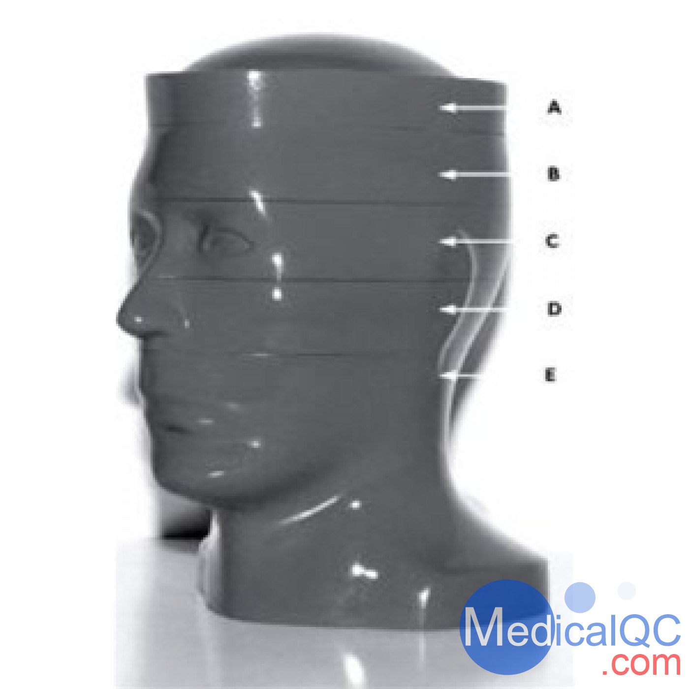 RSD RS-250頭部CT模體，RS-250頭部彷真CT模體