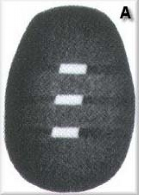RSD RS-250 頭部CT模體，RS-250頭部彷真CT模體