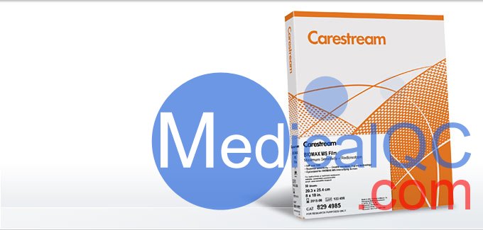 柯達(dá)BioMax MS膠片，BMS1 X射線膠片，Kodak BioMax MS科學(xué)膠片，Carestream自顯影膠片