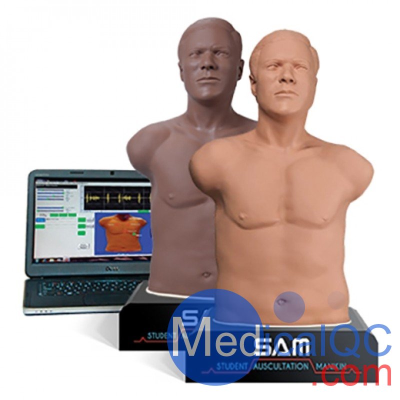 SAM 3G學生聽診人體模型，SAM 3G聽診模型