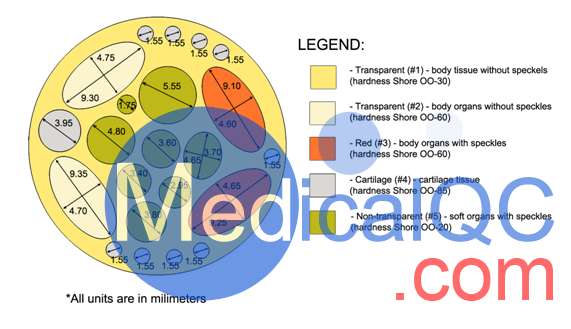 RT-C01大鼠模體，加拿大Truephantom RT-C01大鼠模體構(gòu)造