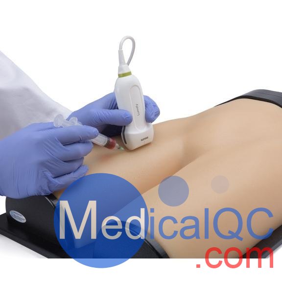 BPF1500-HP血管通路和區(qū)域麻醉超聲訓(xùn)練模體，BPF1500-HP區(qū)域麻醉超聲模體