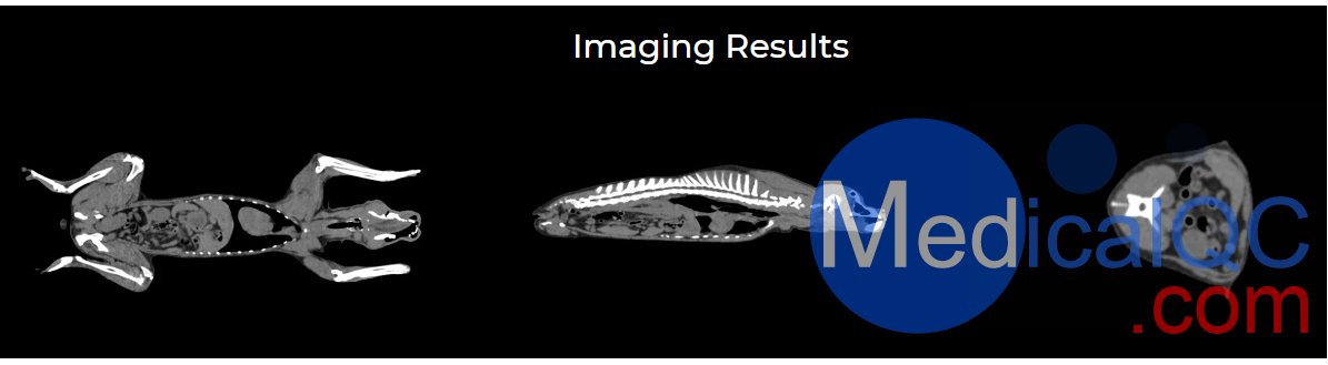 狗全身CT模體，EZVET14000狗全身模型，可X射線(xiàn)和CT