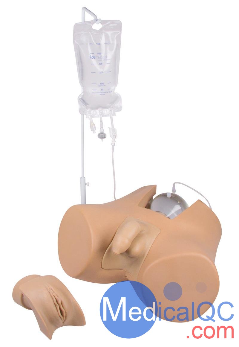 Henri Dunant膀胱插管模擬器，Nightingale導(dǎo)尿訓(xùn)練模體
