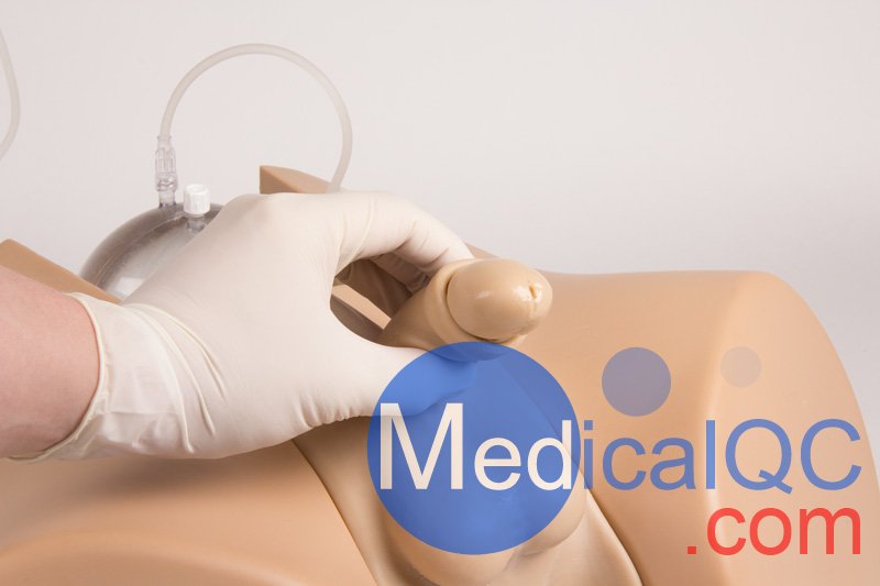 Henri Dunant膀胱插管模擬器，Nightingale導(dǎo)尿訓(xùn)練模體