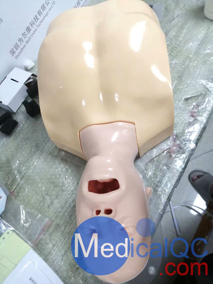 WEK-B05內(nèi)窺鏡支氣管模體，WEK-B05支氣管模型