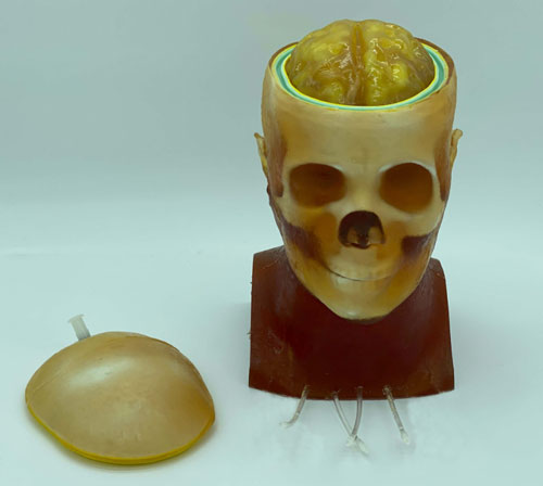 HD-C03成人頭模，HD-C03血管造影頭模，HD-C03頭部模體