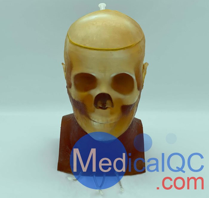 HD-C03成人頭模，HD-C03血管造影頭模，HD-C03頭部模體實拍圖