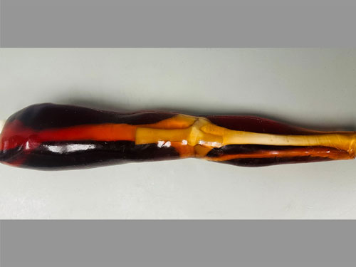 KE-A02成人膝關節(jié)模體，KE-A02腿部模型，KE-A02腿模體