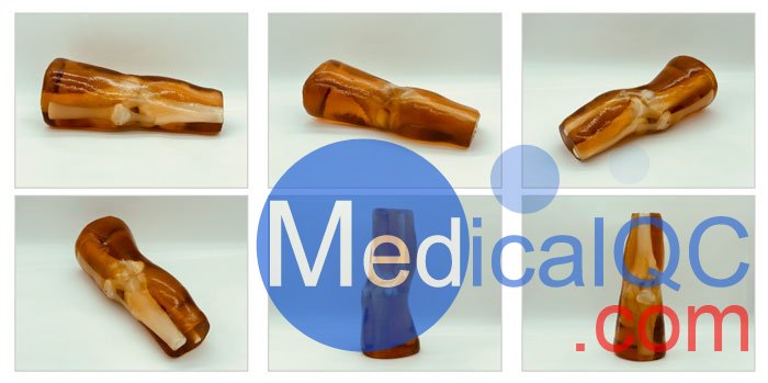 KE-A03成人膝關(guān)節(jié)，KE-A03膝關(guān)節(jié)模體,KE-A03膝關(guān)節(jié)模型