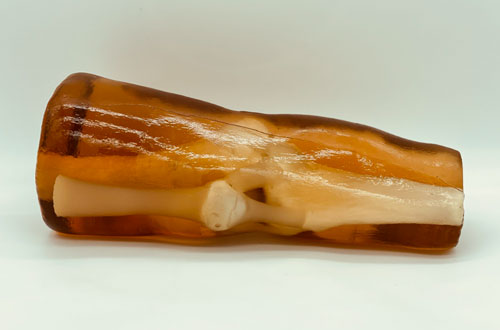 KE-A03成人膝關節(jié)，KE-A03膝關節(jié)模體,KE-A03膝關節(jié)模型