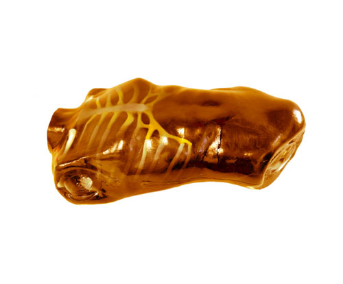 US-A04 FAST訓(xùn)練軀干模體，US-A04超聲軀干模體