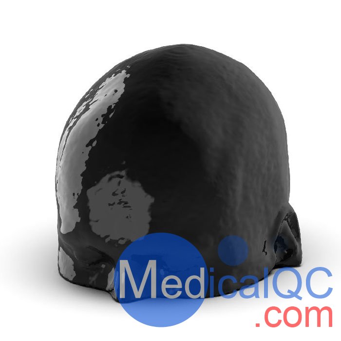 WEK-5005腦血管造影頭模，WEK-5005頭模， CTA AVM頭模