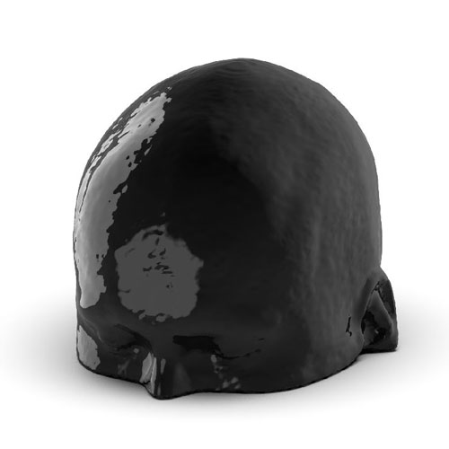 WEK-5005腦血管造影頭模，WEK-5005頭模， CTA AVM頭模