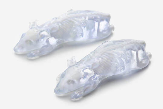 BioMouse模體,BioMouse小鼠模型，Phantech Bio-Mouse多功能小鼠模體