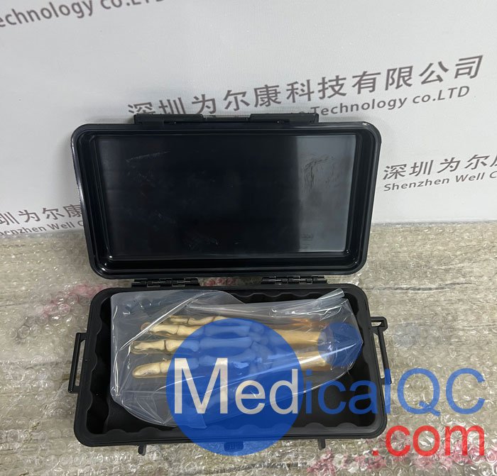 HN-P01兒童手掌模體，HN-P01手掌模型產(chǎn)品實(shí)拍圖