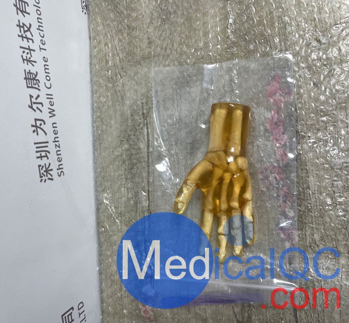 HN-P01兒童手掌模體，HN-P01手掌模型產(chǎn)品實(shí)拍圖