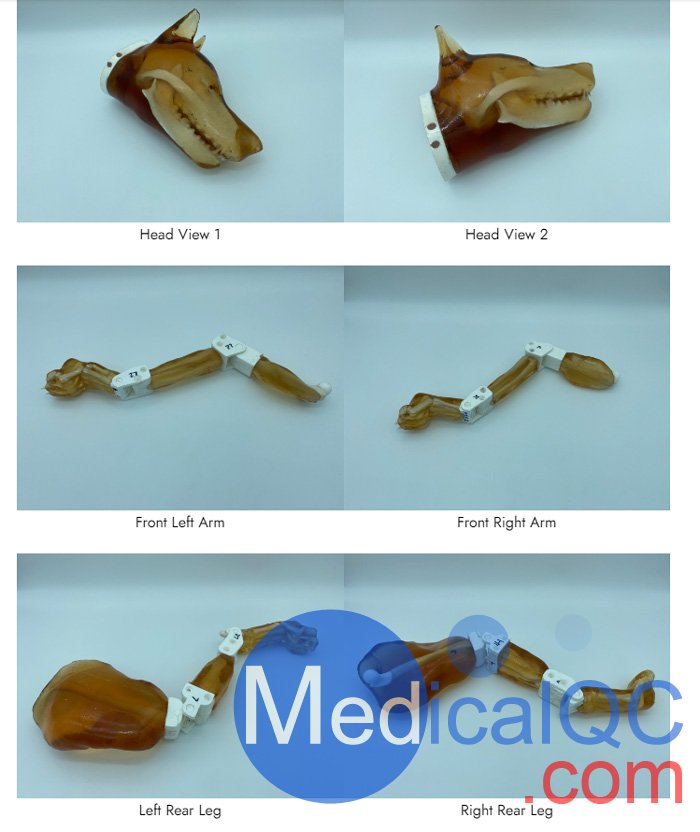 Dog Phantom，牧羊犬模體，模型結(jié)構(gòu)圖