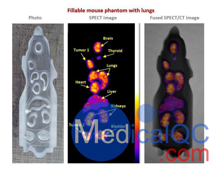 BIOEMTECH可填充鼠模型,PET/SPECT鼠模模體，Mouse / Rat模體