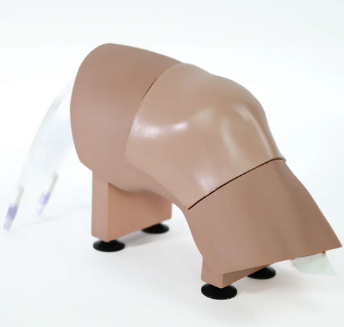 ARC-20-L關(guān)節(jié)穿刺訓(xùn)練模型，ARC-20-L膝關(guān)節(jié)穿刺訓(xùn)練模型