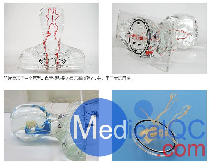 HB-1頭部血管模型，HB-1頭部體模，帶血管