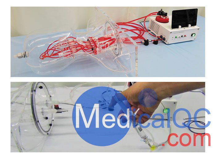 HB-1頭部血管模型，HB-1頭部體模，帶血管