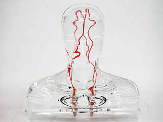 HB-1頭部血管模型，HB-1頭部體模，帶血管