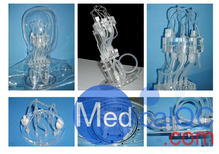 HB-1頭部血管模型，HB-1頭部體模，帶血管