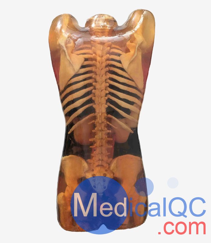 CT-A02成年女性軀干模體，CT-A02女性軀干模體