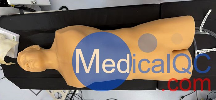 BPFAST1800創(chuàng)傷超聲重點評估訓(xùn)練模型,BPFAST1800訓(xùn)練模型實物拍攝圖