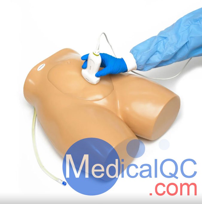 BP1610羊膜穿刺術(shù)訓(xùn)練模型,BP1610胎兒超聲培訓(xùn)模型